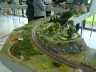 Schwarzwald 024